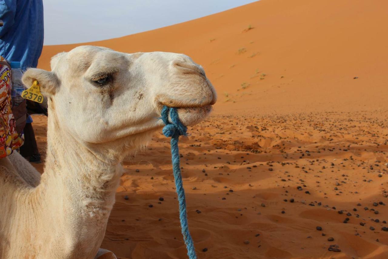 Riad Hotel Les Flamants Merzouga Ngoại thất bức ảnh